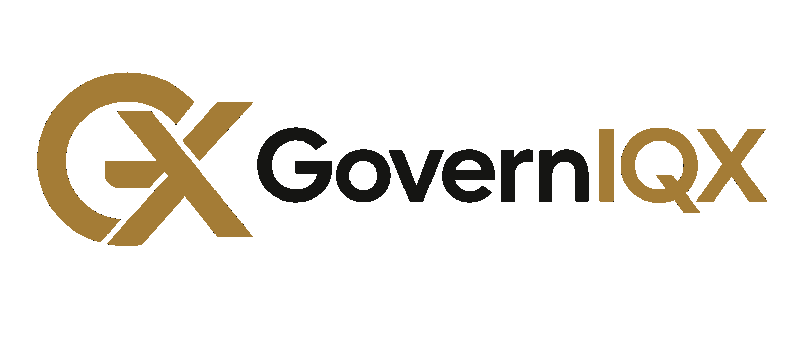 GovernIQX